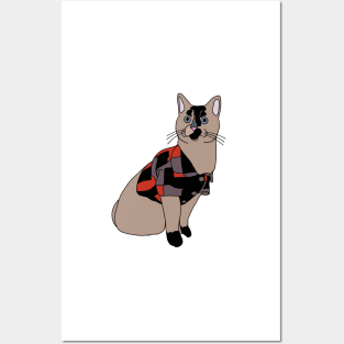 Arya the cat Posters and Art